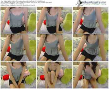 sakuralivejp-passionmio-public-show-02_11_2015-22_11_58