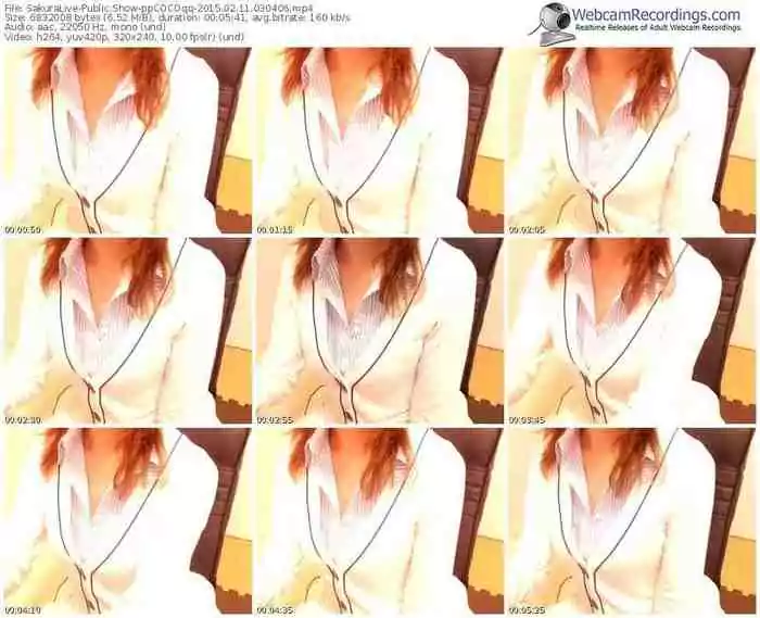 sakuralivejp-ppcocoqq-public-show-02_11_2015-03_04_06