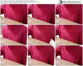 sakuralivejp-satomi1124-public-show-02_11_2015-07_12_01