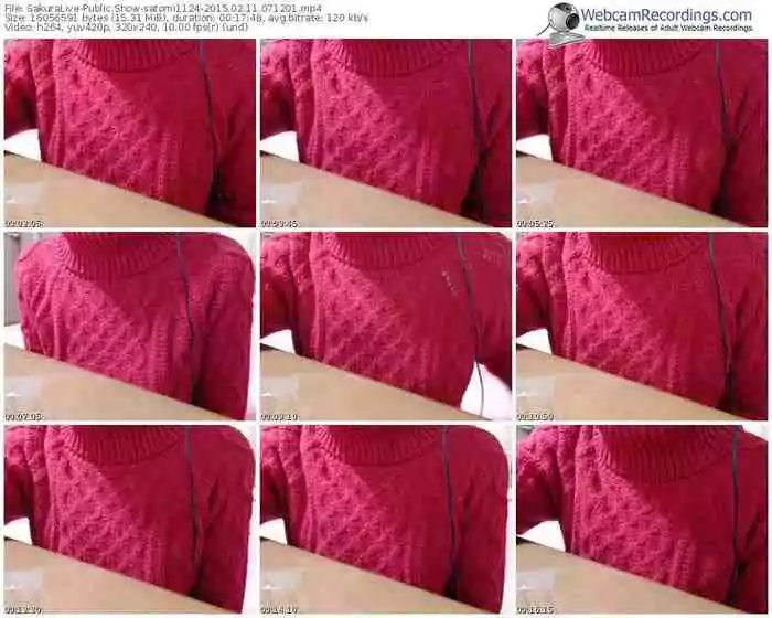 sakuralivejp-satomi1124-public-show-02_11_2015-07_12_01