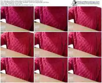 sakuralivejp-satomi1124-public-show-02_11_2015-07_31_01