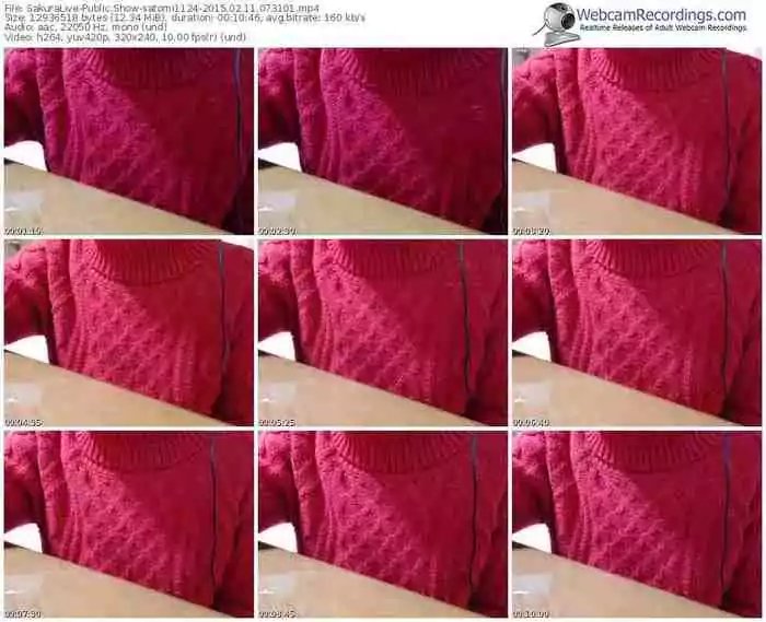 sakuralivejp-satomi1124-public-show-02_11_2015-07_31_01