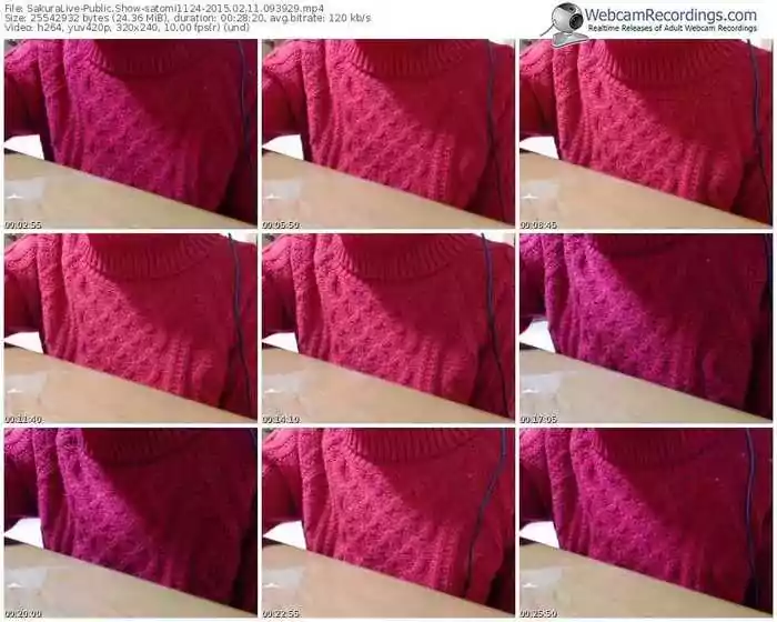 sakuralivejp-satomi1124-public-show-02_11_2015-09_39_29