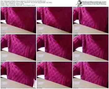 sakuralivejp-satomi1124-public-show-02_11_2015-12_24_58