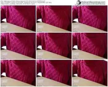 sakuralivejp-satomi1124-public-show-02_11_2015-13_00_52