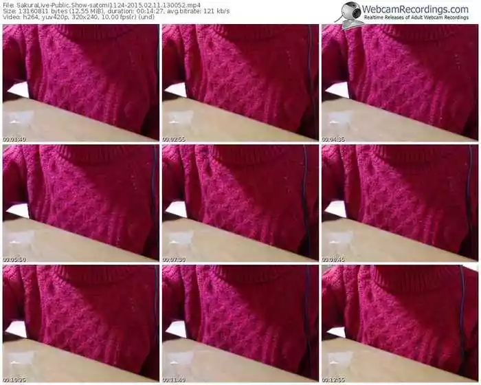 sakuralivejp-satomi1124-public-show-02_11_2015-13_00_52