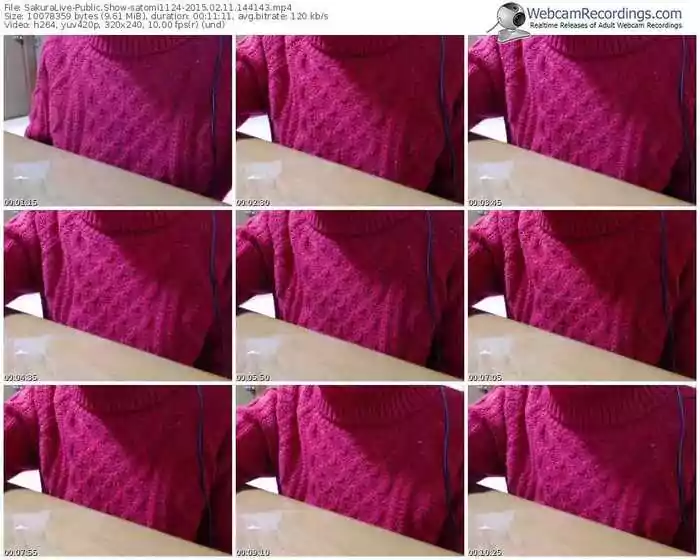 sakuralivejp-satomi1124-public-show-02_11_2015-14_41_43