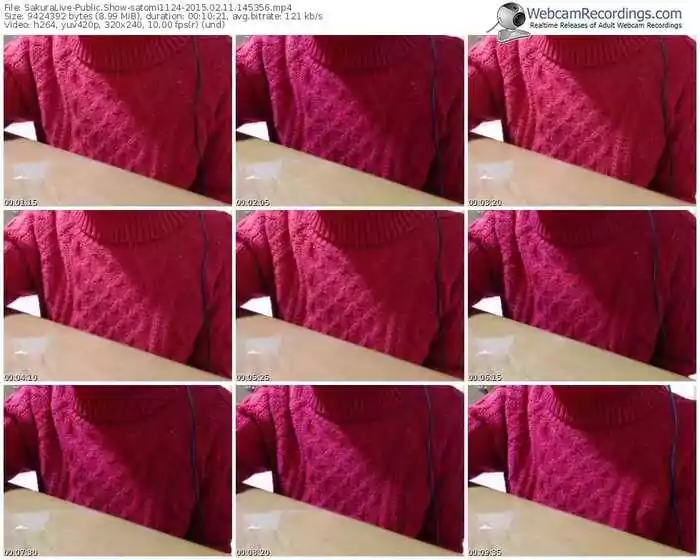 sakuralivejp-satomi1124-public-show-02_11_2015-14_53_56