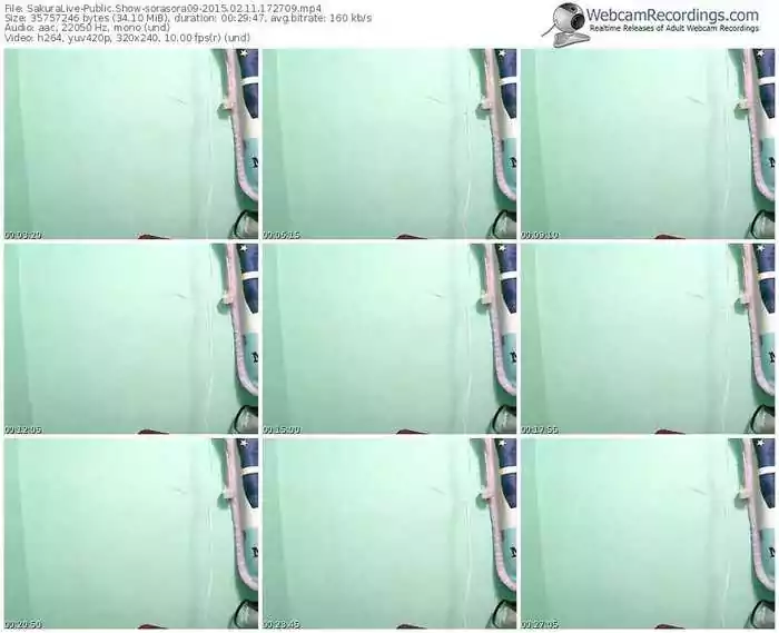 sakuralivejp-sorasora09-public-show-02_11_2015-17_27_09