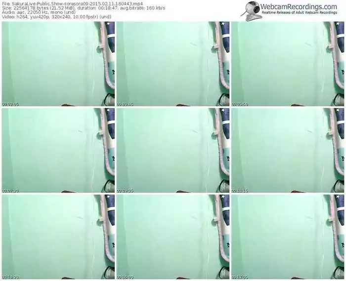 sakuralivejp-sorasora09-public-show-02_11_2015-18_04_43