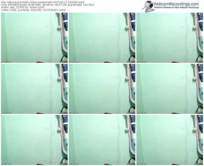 sakuralivejp-sorasora09-public-show-02_11_2015-18_23_45