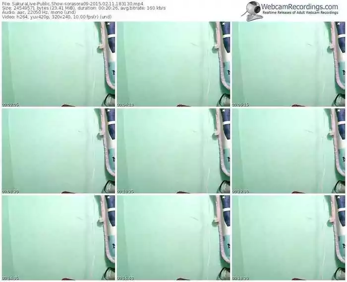 sakuralivejp-sorasora09-public-show-02_11_2015-18_31_30