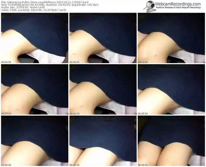 sakuralivejp-vwwmariwwv-public-show-02_11_2015-13_03_47