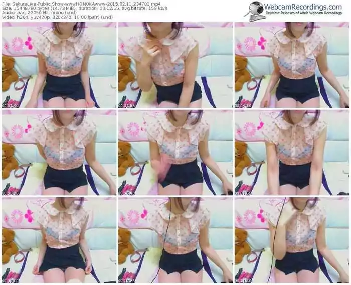 sakuralivejp-wwwhonokawww-public-show-02_11_2015-23_47_03