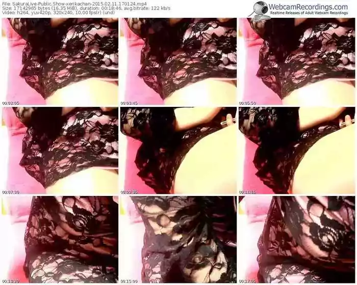 sakuralivejp-xerikachan-public-show-02_11_2015-17_01_24