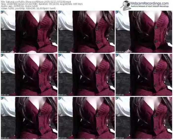 sakuralivejp-zzvrenvzz-public-show-02_11_2015-07_22_33