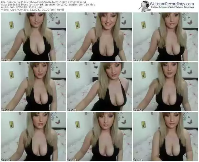 sakuralivejp-cindysexrella-public-show-02_12_2015-23_03_32