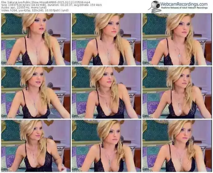 sakuralivejp-misssbarbie-public-show-02_12_2015-10_35_08