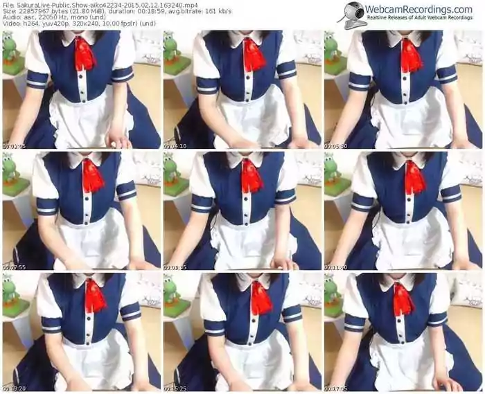 sakuralivejp-aiko42234-public-show-02_12_2015-16_32_40