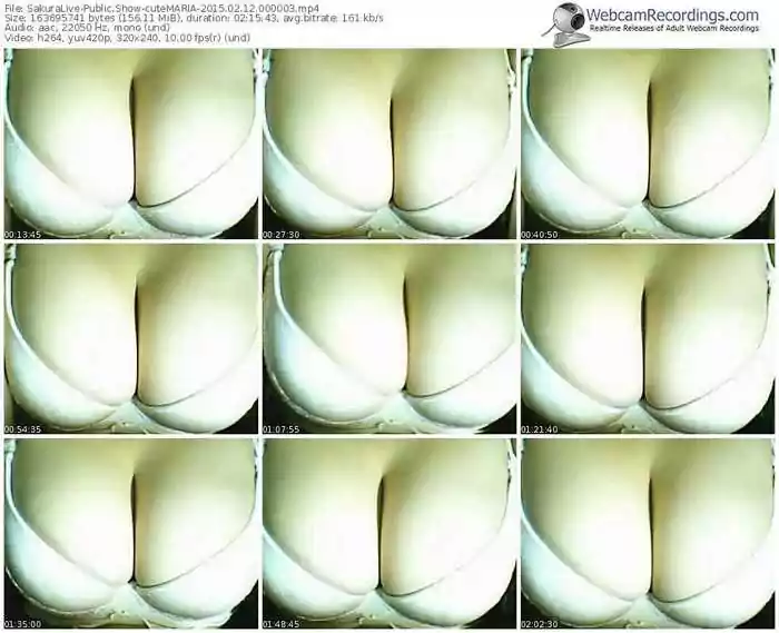 sakuralivejp-cutemaria-public-show-02_12_2015-00_00_03