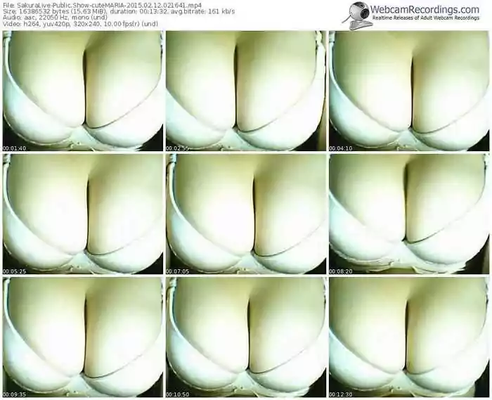 sakuralivejp-cutemaria-public-show-02_12_2015-02_16_41