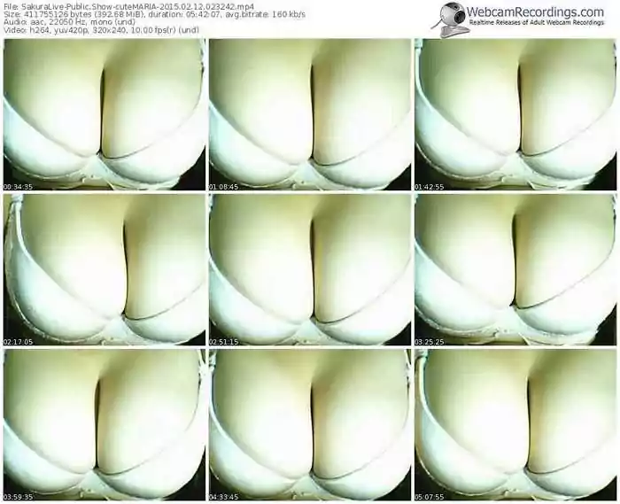 sakuralivejp-cutemaria-public-show-02_12_2015-02_32_42