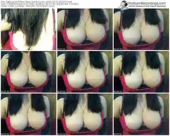 sakuralivejp-marikocyann-public-show-02_12_2015-22_33_16