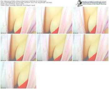 sakuralivejp-vvmaichanvv-public-show-02_12_2015-11_23_42
