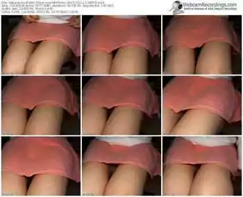 sakuralivejp-vwwmariwwv-public-show-02_12_2015-13_40_02