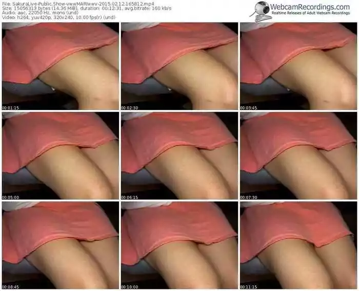 sakuralivejp-vwwmariwwv-public-show-02_12_2015-16_58_12