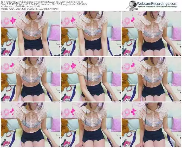 sakuralivejp-wwwhonokawww-public-show-02_12_2015-00_53_37