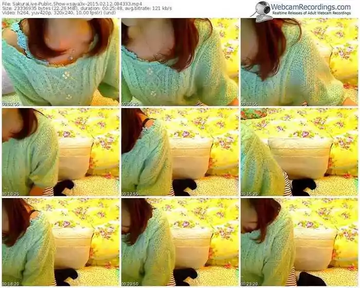 sakuralivejp-xsaya3x-public-show-02_12_2015-08_43_33