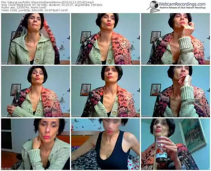 sakuralivejp-hoolliwoodanne-public-show-02_13_2015-22_14_22