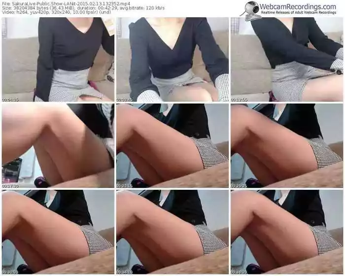 sakuralivejp-lanit-public-show-02_13_2015-13_23_52