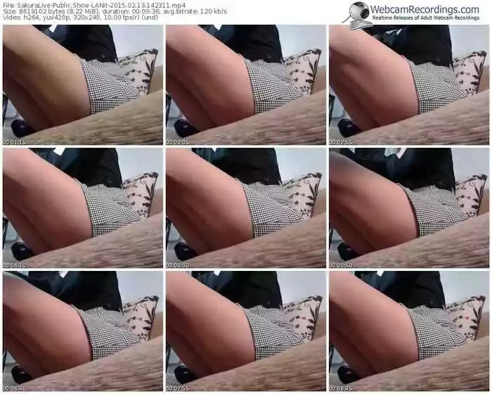 sakuralivejp-lanit-public-show-02_13_2015-14_23_11