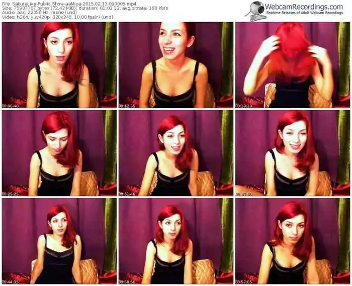 sakuralivejp-aamiya-public-show-02_13_2015-09_00_05