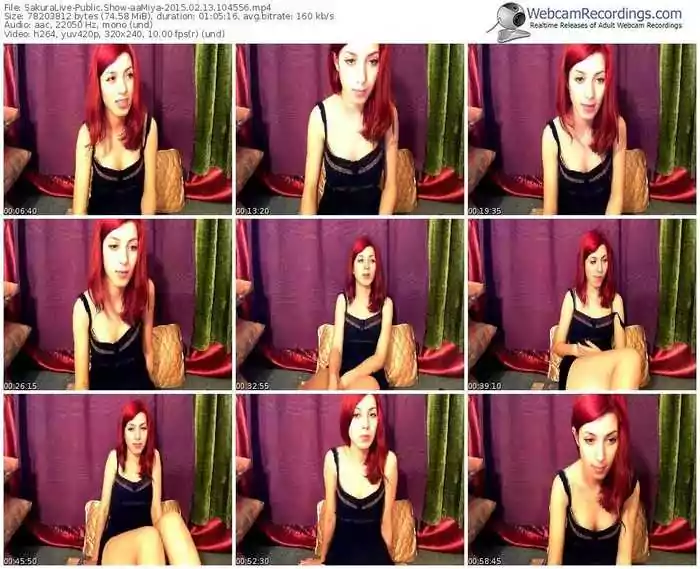 sakuralivejp-aamiya-public-show-02_13_2015-10_45_56