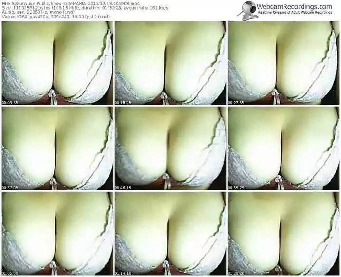 sakuralivejp-cutemaria-public-show-02_13_2015-00_49_08