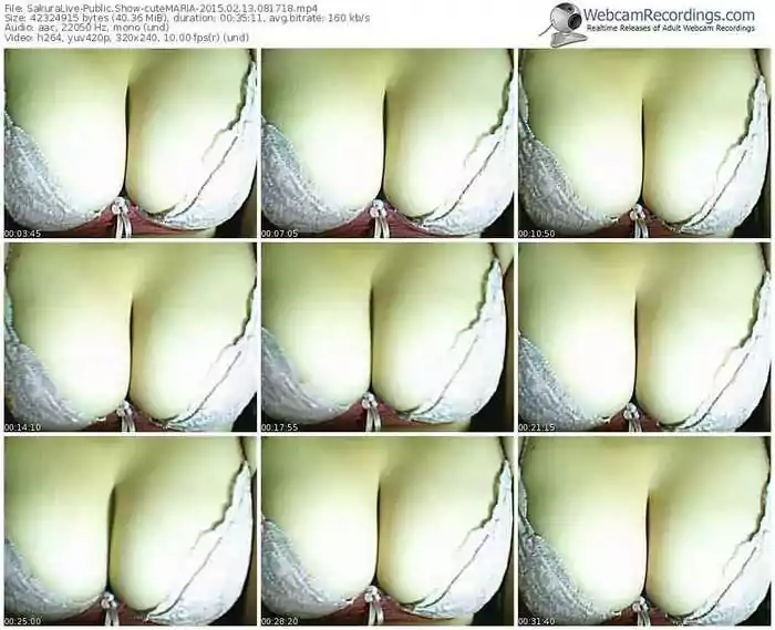 sakuralivejp-cutemaria-public-show-02_13_2015-08_17_18