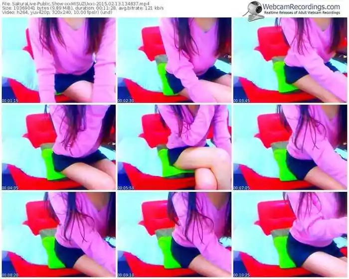 sakuralivejp-ixxmisuzuxxi-public-show-02_13_2015-13_48_37