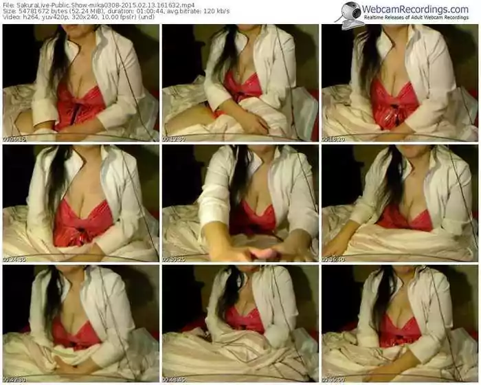 sakuralivejp-mika0308-public-show-02_13_2015-16_16_32