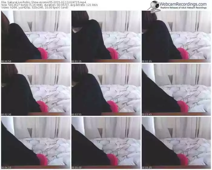 sakuralivejp-miomio55-public-show-02_13_2015-02_47_15