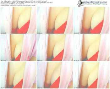 sakuralivejp-vvmaichanvv-public-show-02_13_2015-16_31_34