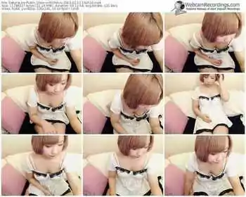 sakuralivejp-vxrionaxv-public-show-02_13_2015-14_26_10