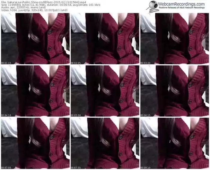 sakuralivejp-zzvrenvzz-public-show-02_13_2015-01_58_42