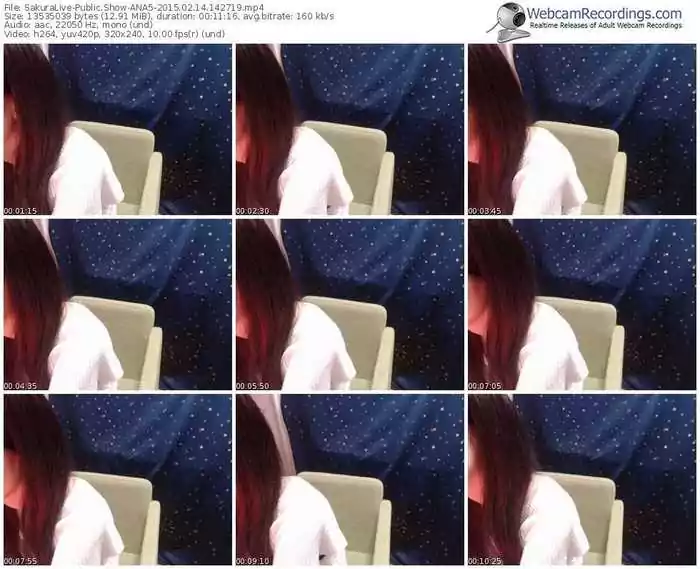 sakuralivejp-ana5-public-show-02_14_2015-14_27_19