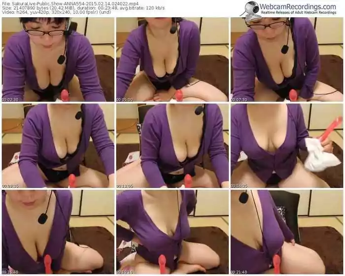 sakuralivejp-anna554-public-show-02_14_2015-02_40_22
