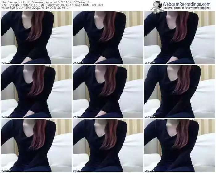 sakuralivejp-ayuayumix-public-show-02_14_2015-13_57_47