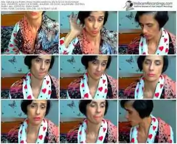 sakuralivejp-hoolliwoodanne-public-show-02_14_2015-01_21_18