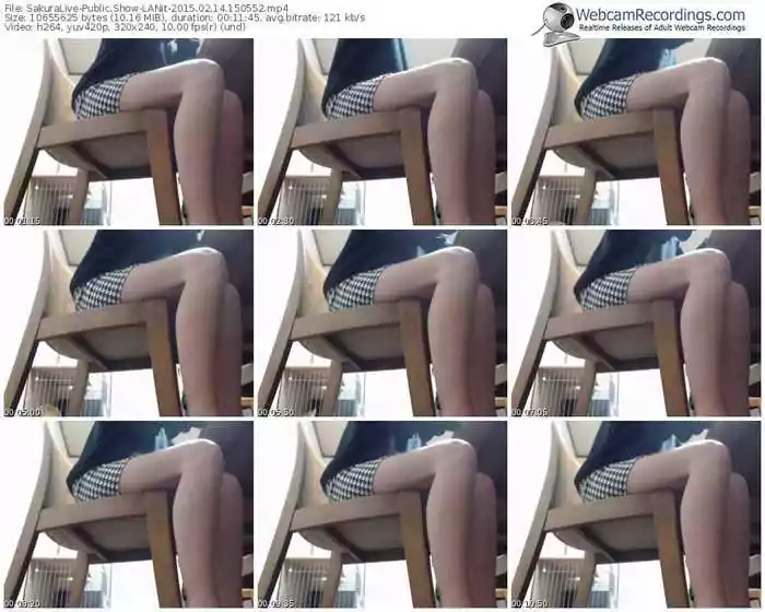 sakuralivejp-lanit-public-show-02_14_2015-15_05_52